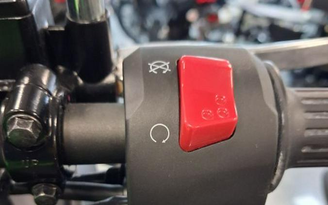2025 Kawasaki Versys®-X 300 ABS