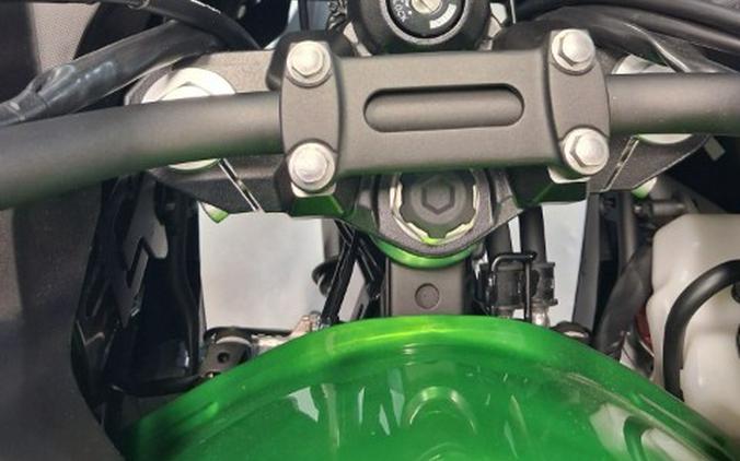 2025 Kawasaki Versys®-X 300 ABS