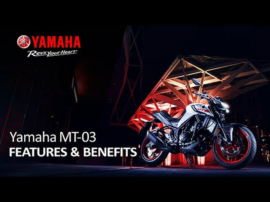 2021 Yamaha MT-03