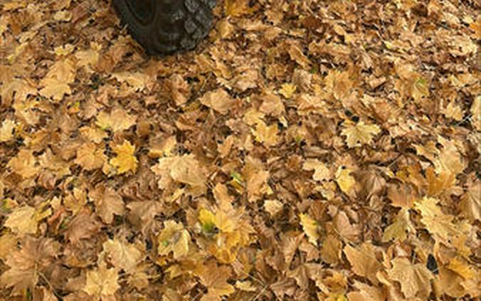 2021 Honda® Talon 1000X