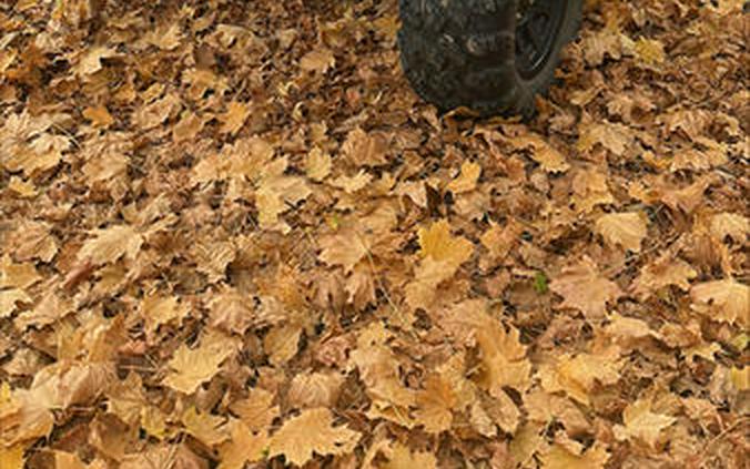 2021 Honda® Talon 1000X