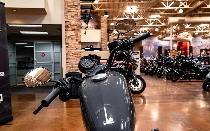 2022 Harley-Davidson Iron 883 Cruiser