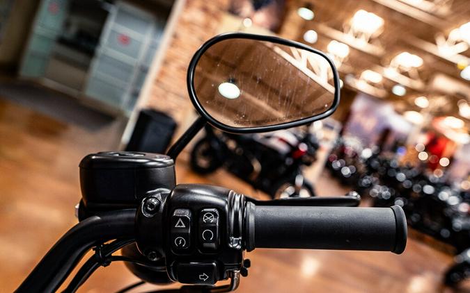2022 Harley-Davidson Iron 883 Cruiser