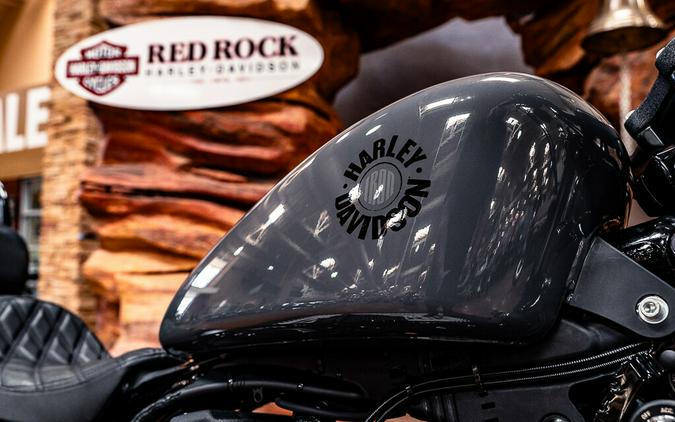 2022 Harley-Davidson Iron 883 Cruiser