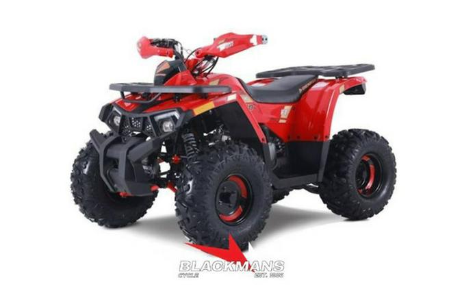 2026 Denago Powersports Mudhawk 10 FI