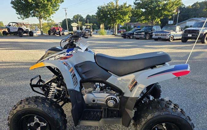 2026 Polaris Phoenix 200