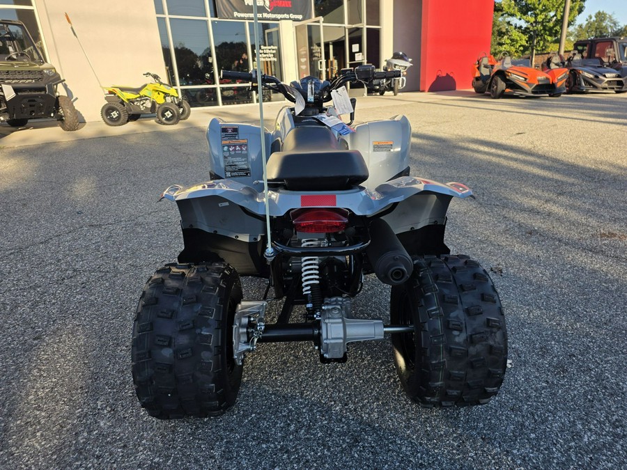 2026 Polaris Phoenix 200