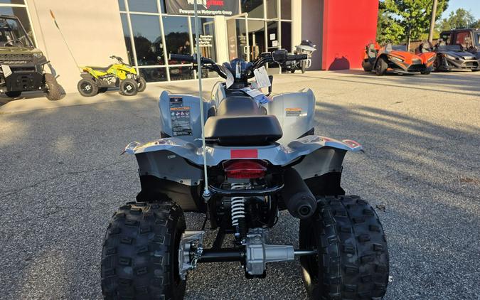 2026 Polaris Phoenix 200