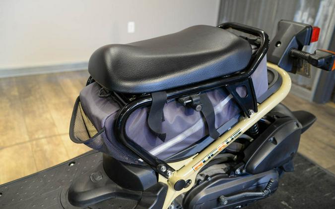 2022 Honda Ruckus