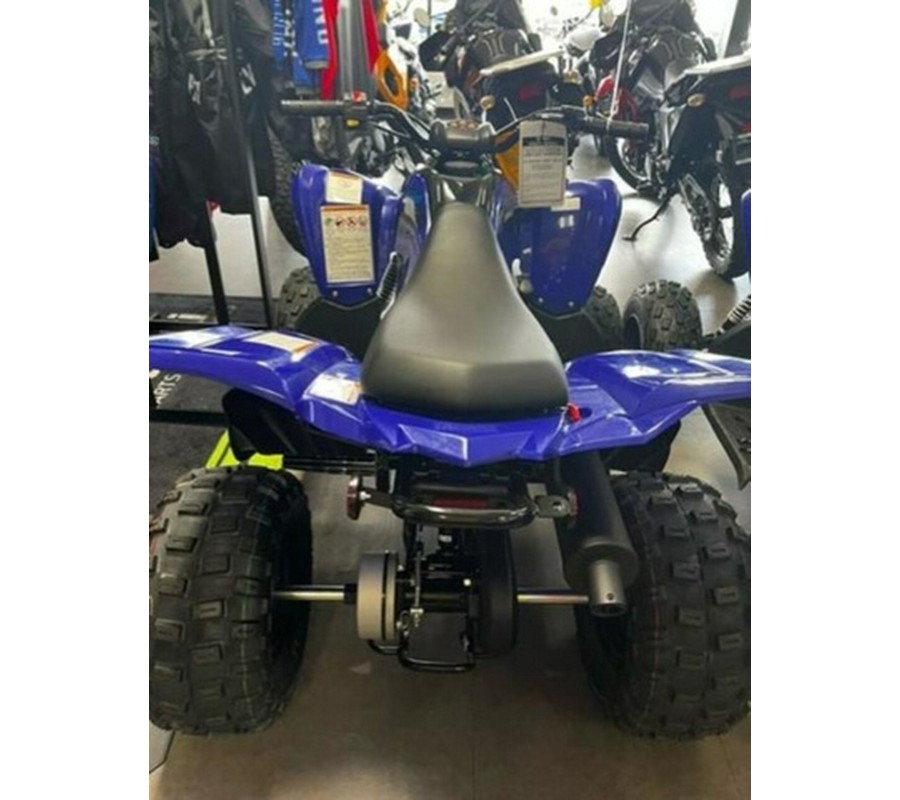 2024 Yamaha Raptor 110