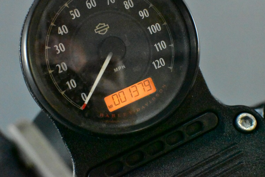 2021 Harley-Davidson Iron 883