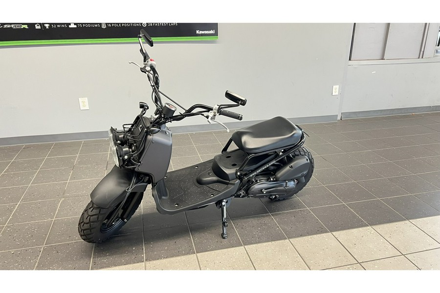 2011 Honda Ruckus