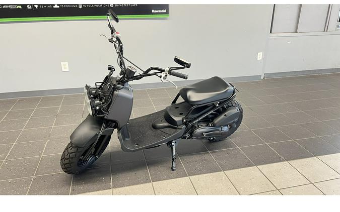 2011 Honda Ruckus