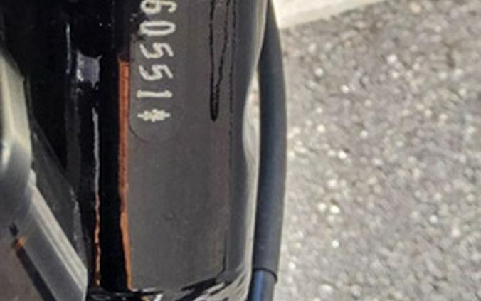 2019 Harley-Davidson Trike Freewheeler Flrt