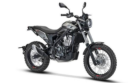 2026 Beta Motorcycles ALP 350X