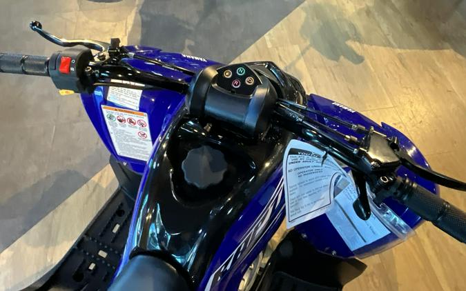 2026 Yamaha Raptor 110