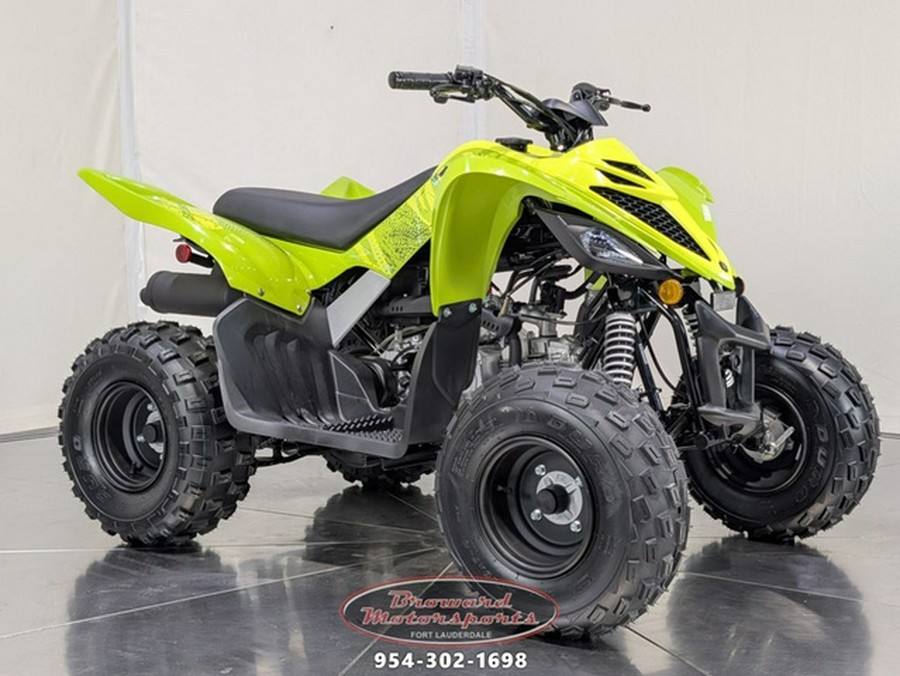 2026 Yamaha Raptor 110