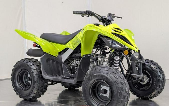2026 Yamaha Raptor 110
