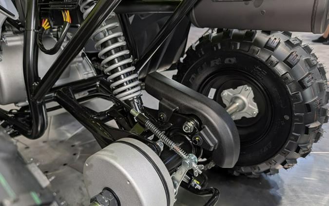 2026 Yamaha Raptor 110