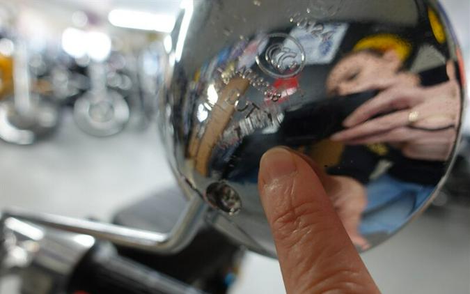 2025 Ice Bear Champion