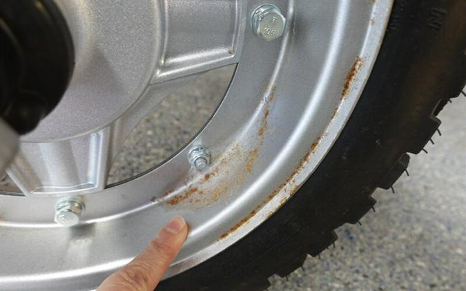 2025 Ice Bear Champion