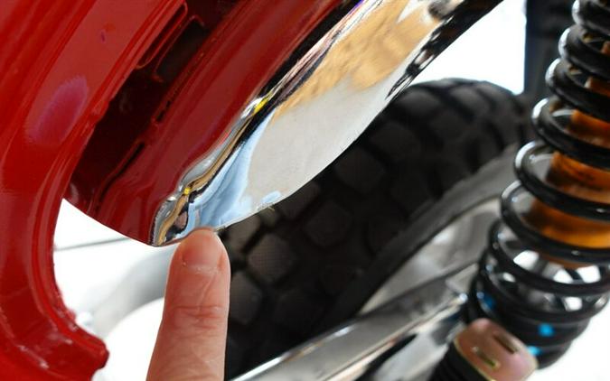 2025 Ice Bear Champion