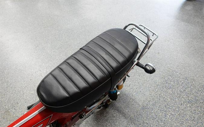 2025 Ice Bear Champion