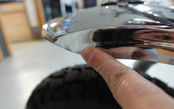 2025 Ice Bear Champion