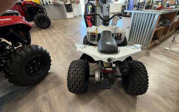 2026 RENEGADE 110 EFI - Can-Am
