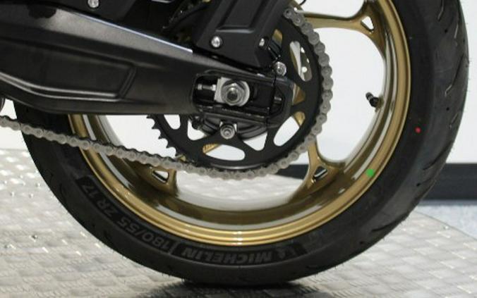 2026 Triumph Trident 800