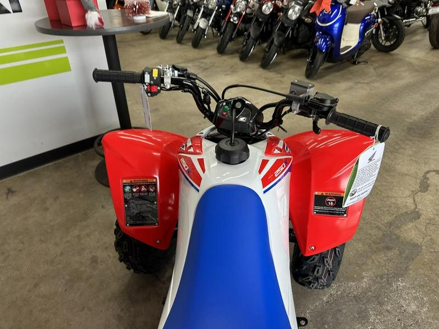 2026 Honda® TRX250X