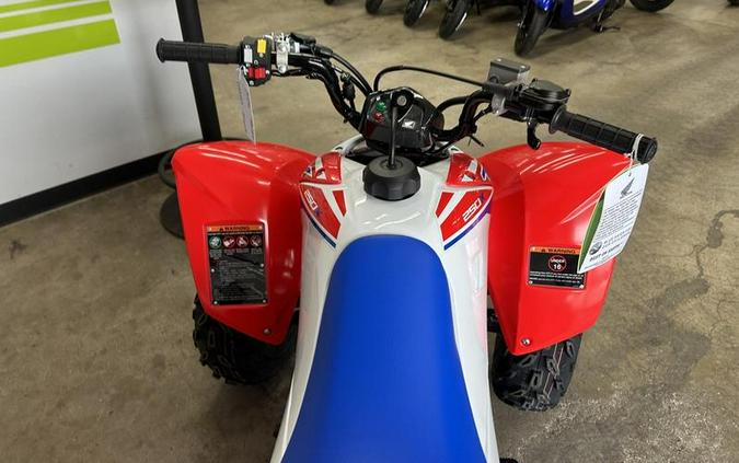 2026 Honda® TRX250X