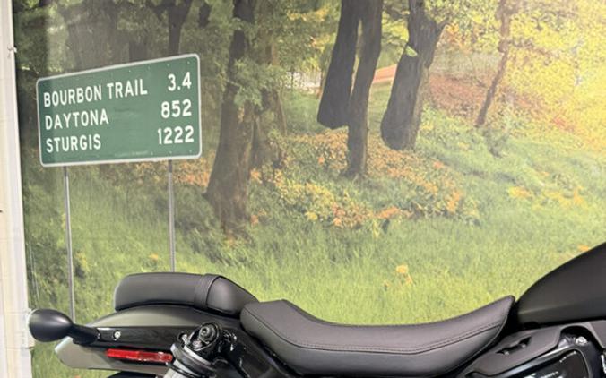 2026 Harley-Davidson Nightster Special