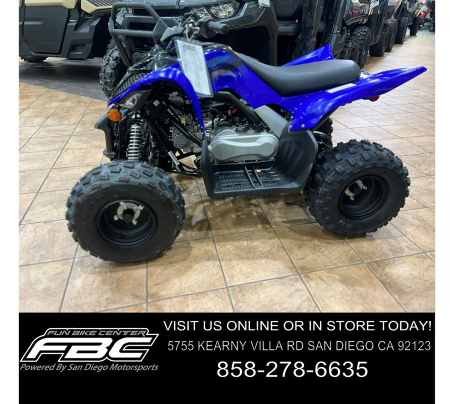 2024 Yamaha Raptor 110