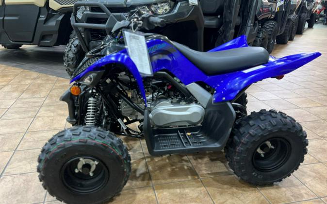 2024 Yamaha Raptor 110