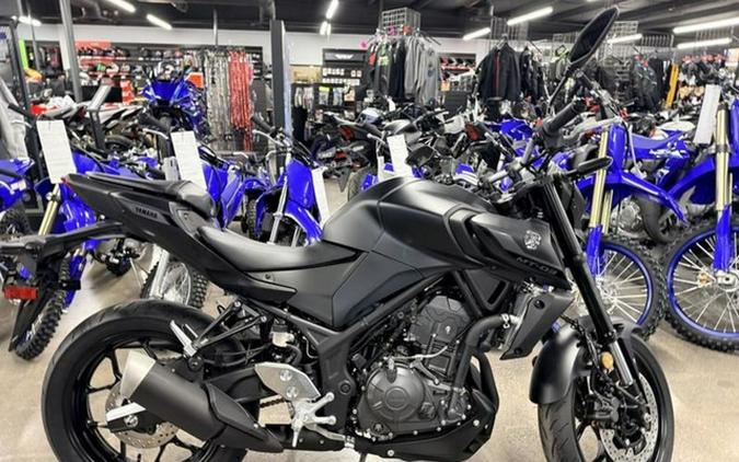 2026 Yamaha YZF R3