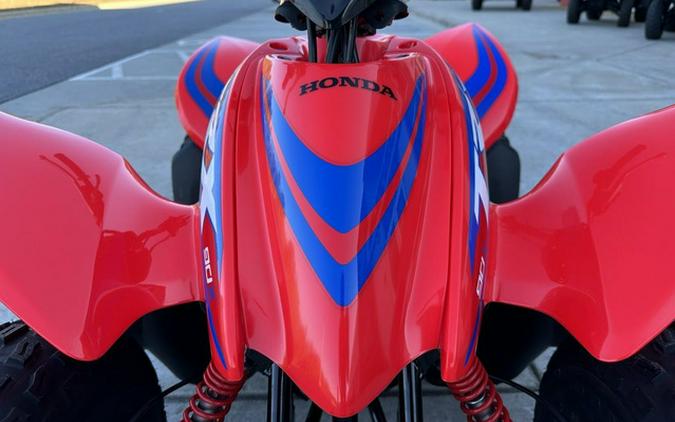 2024 Honda TRX90X