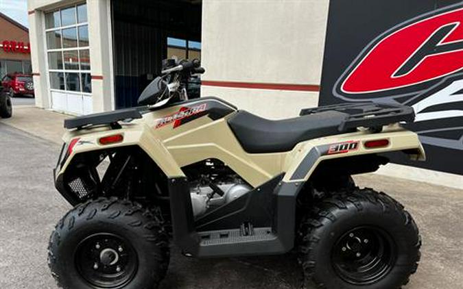 2023 Arctic Cat Alterra 300