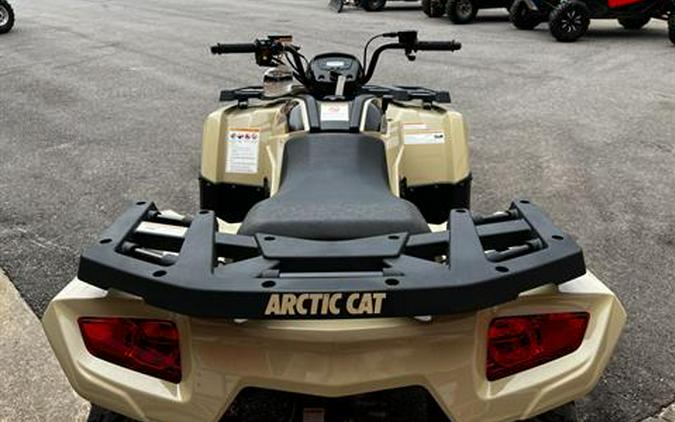 2023 Arctic Cat Alterra 300