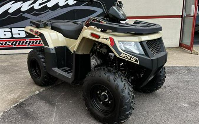 2023 Arctic Cat Alterra 300