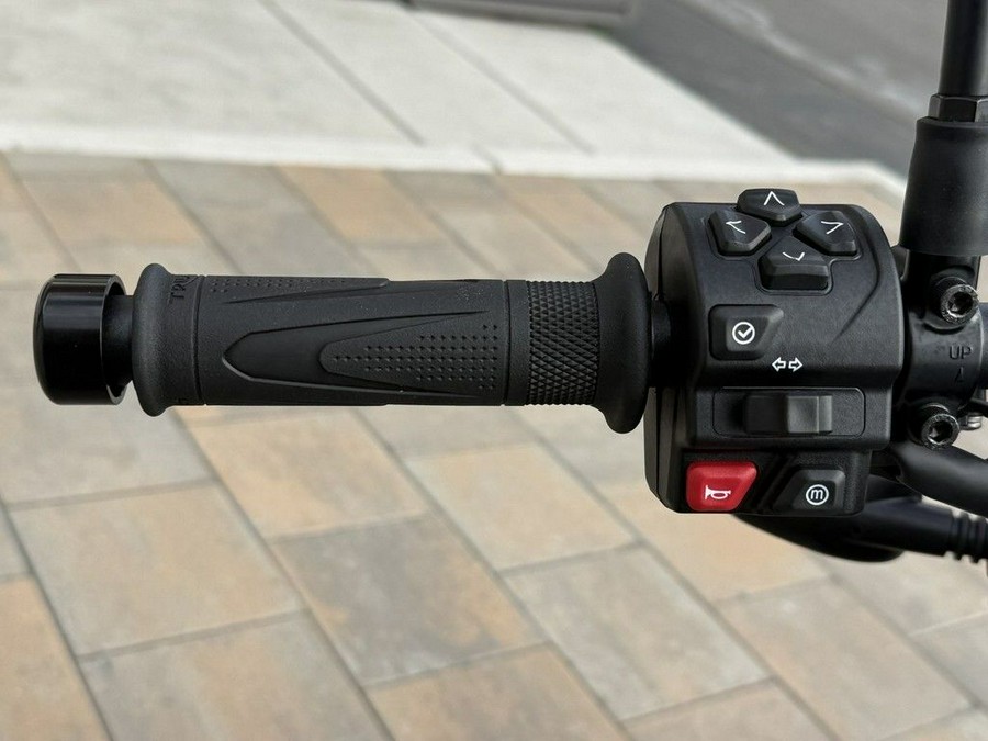 2026 Triumph Trident 800 Ash grey