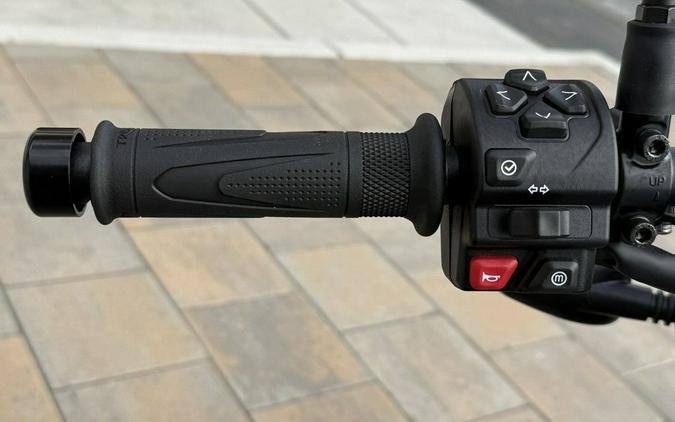 2026 Triumph Trident 800 Ash grey