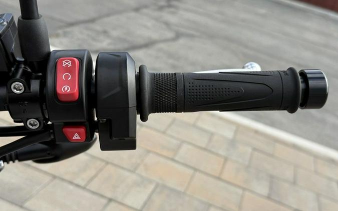 2026 Triumph Trident 800 Ash grey