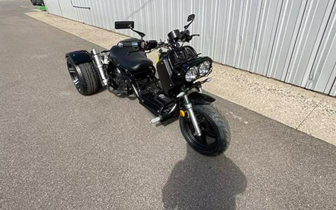 2022 ICEBEAR MADDOG TRIKE 50 CC