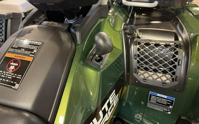 2026 Kawasaki BRUTE FORCE 750 SE EPS Metallic Gold Sparkle Deep Green - 109939