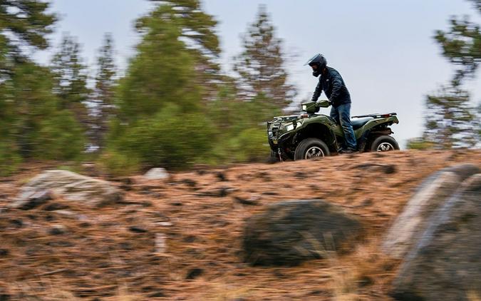 2026 Kawasaki BRUTE FORCE 750 SE EPS Metallic Gold Sparkle Deep Green - 109939