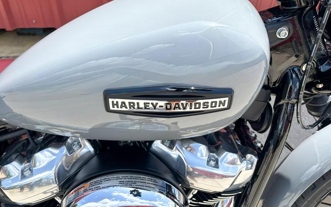 2026 Harley-Davidson® Street Bob® FXBB Dark Billiard Gray Chrome Solo