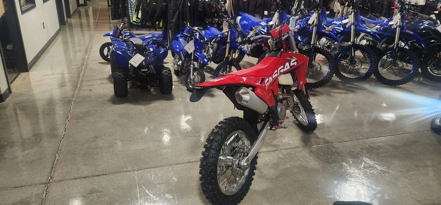 2024 GASGAS EW 500F