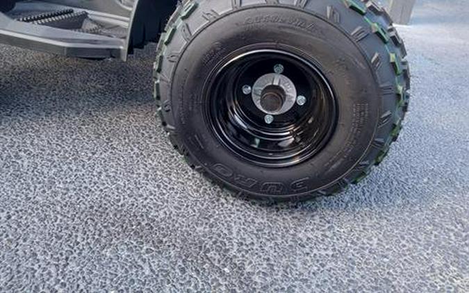 2025 Can-Am Renegade 110 EFI