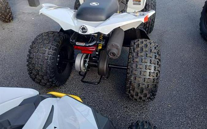 2025 Can-Am Renegade 110 EFI